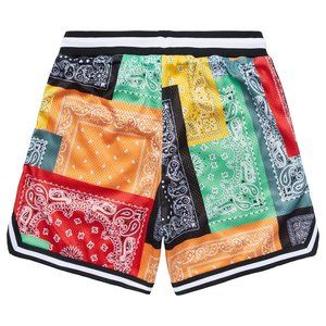 LRG STRICTLY SCRIPT ROOTS MESH SHORTS Bandana Print Large